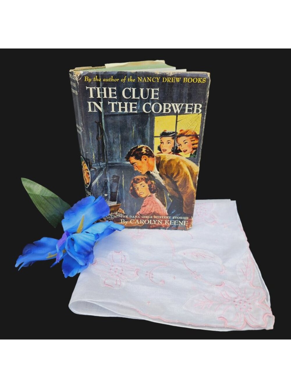 Vintage 1939 Dana Girls Mystery Clue in Cobweb Book Instant Collection Lot